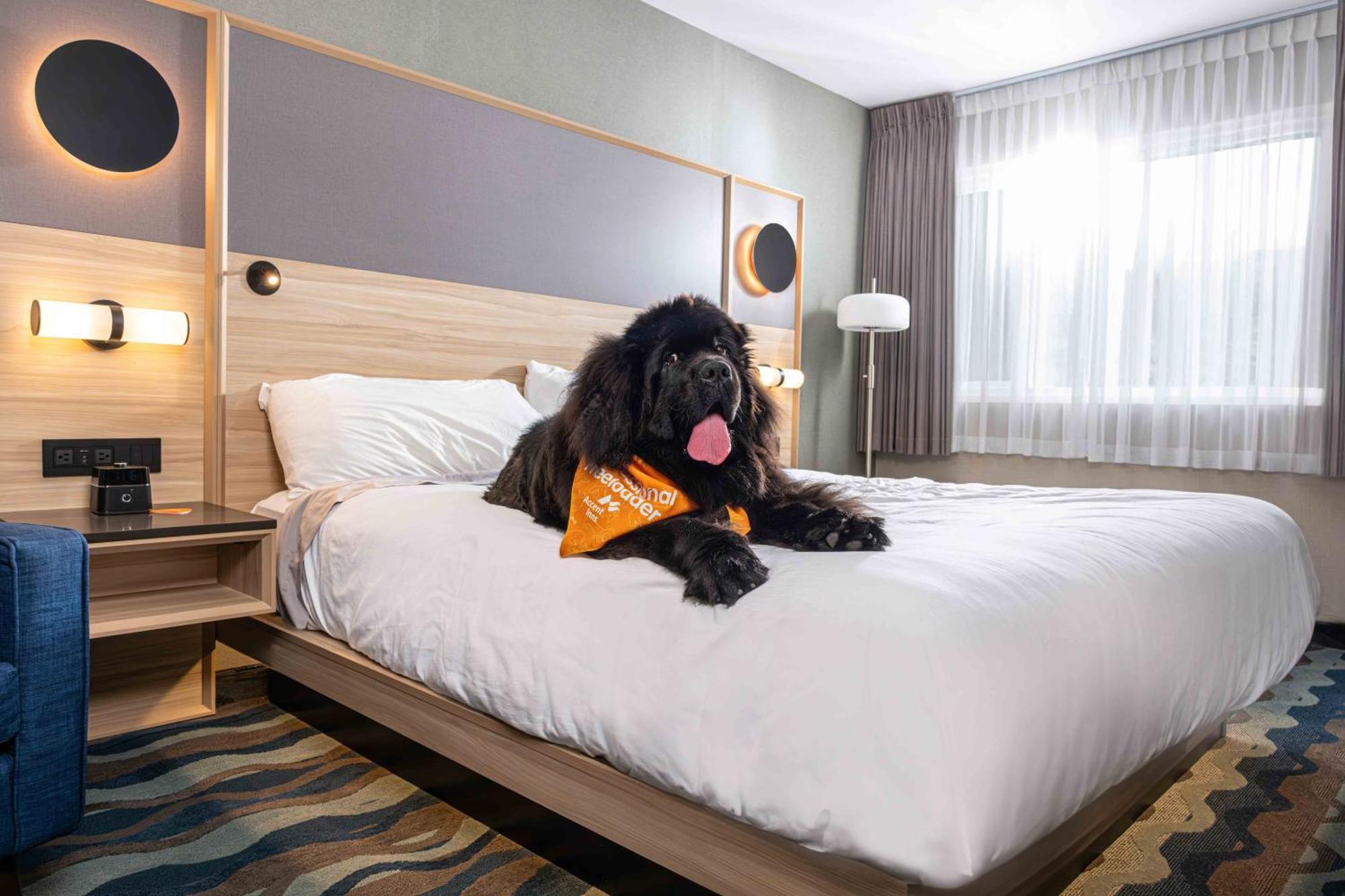 Accent Inns Vancouver Airport Richmond Dış mekan fotoğraf