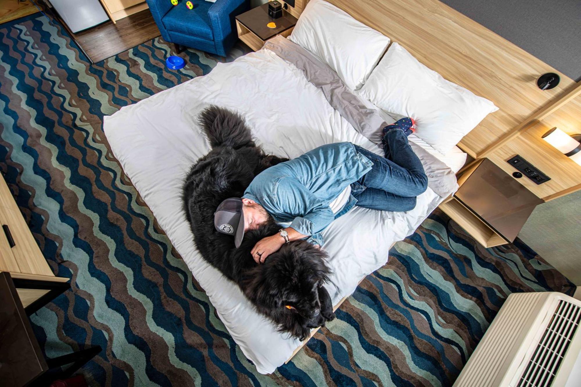 Accent Inns Vancouver Airport Richmond Dış mekan fotoğraf